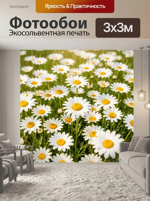 Фотообои Поляна с ромашками
