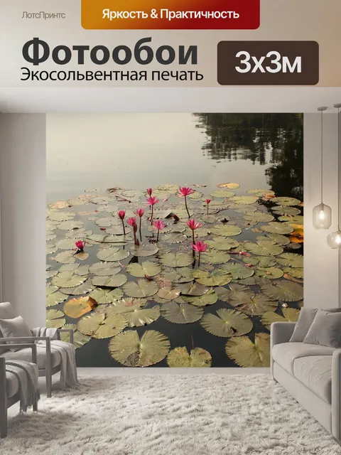 Фотообои Лотос