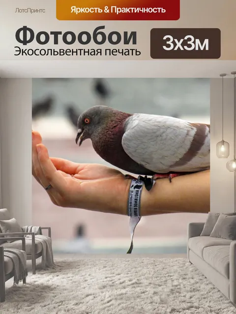 Фотообои Палома