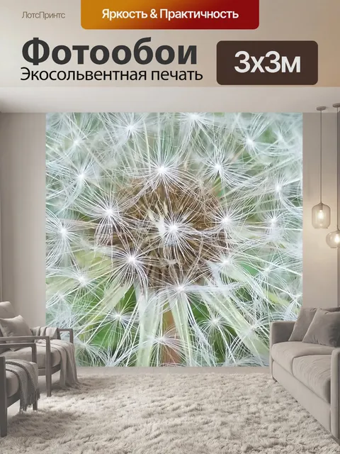 Фотообои Одуванчик