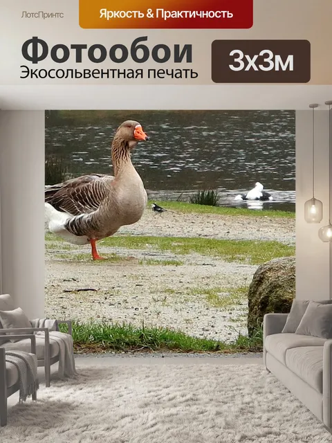Фотообои Животное