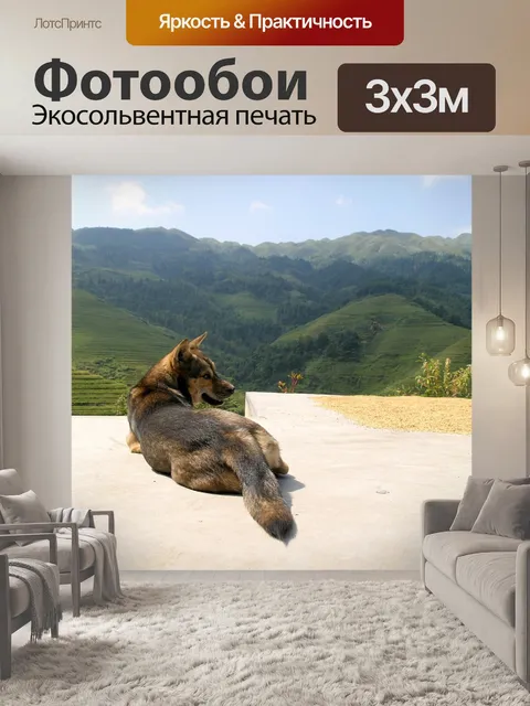 Фотообои Собака