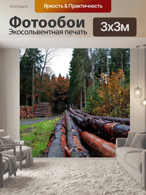Фотообои Лес