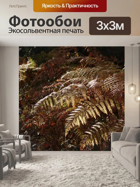 Фотообои Падение