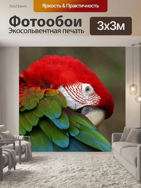 Фотообои Птица