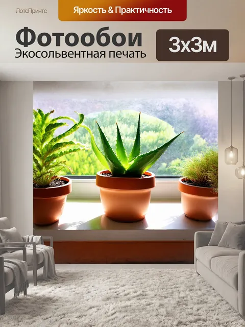 Фотообои сочное растение алоэ с ярко-зелеными листьями в керамическом горшке с оригинальным рисунком расположено на…