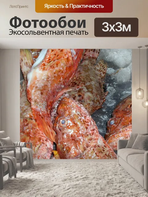 Фотообои Рыбы