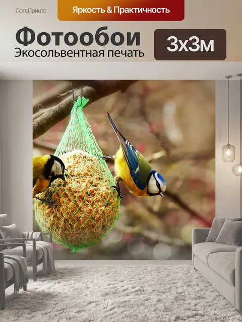 Фотообои Хохлатая синица