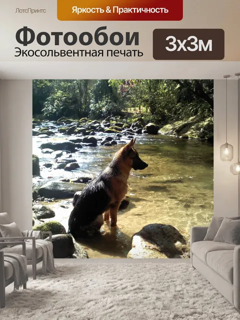 Фотообои Собака
