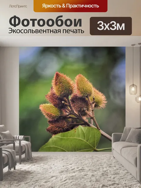Фотообои Крупный план