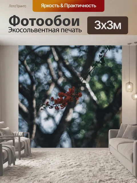 Фотообои Просто