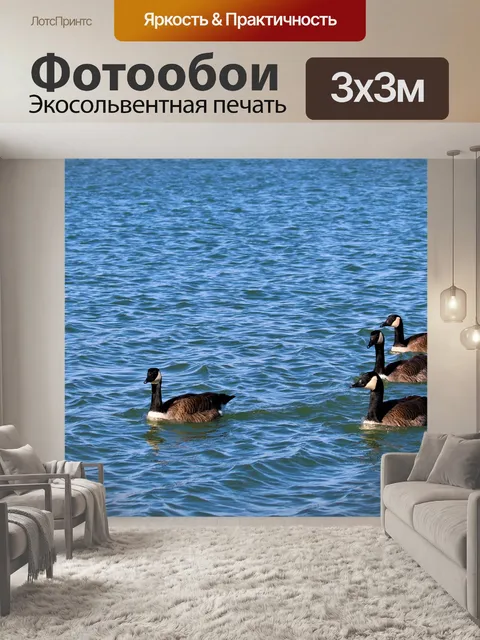 Фотообои Четыре канадских гуся на Голубом озере
