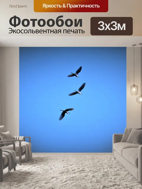 Фотообои Птицы