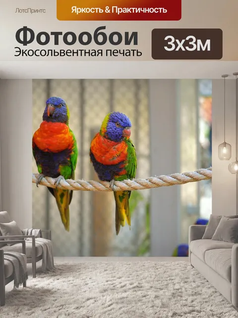 Фотообои Птица