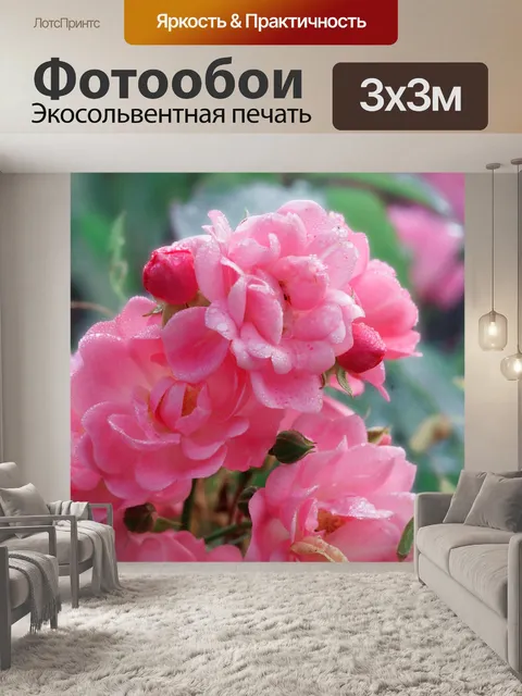 Фотообои Шиповник цветы цветы розы