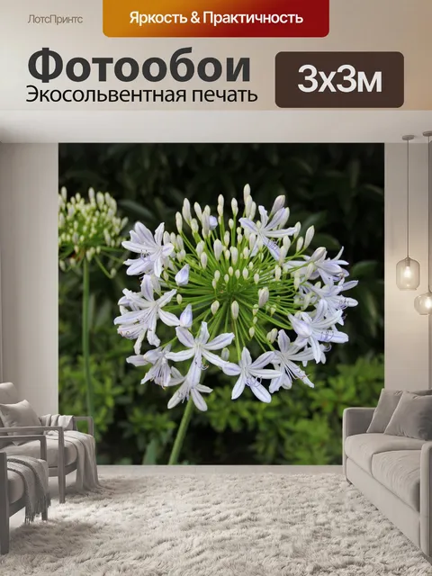 Фотообои Цветы