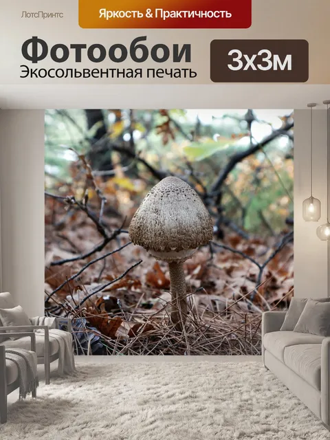 Фотообои Лесные грибы