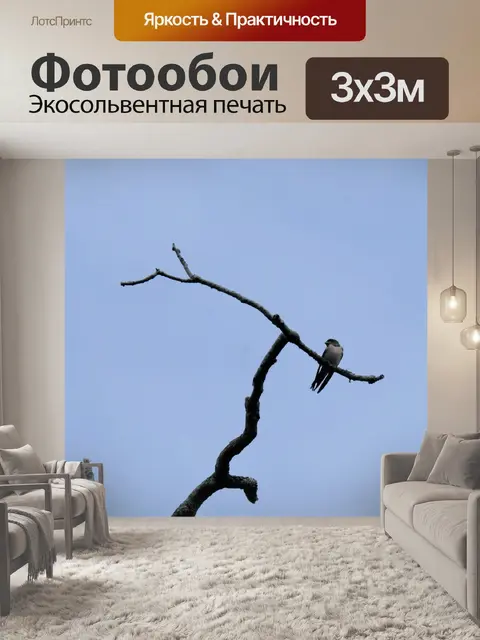 Фотообои Ласточка на дереве