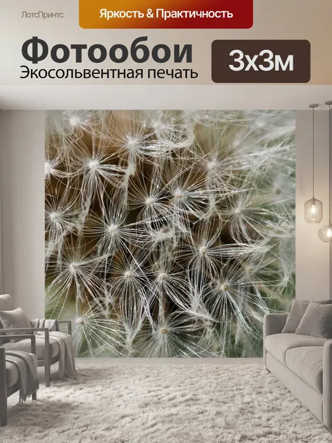 Фотообои Одуванчик