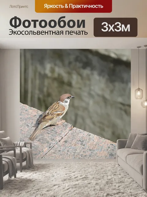Фотообои Птица