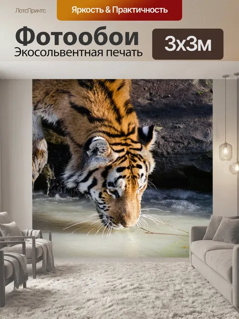 Фотообои Сибирский тигр, река