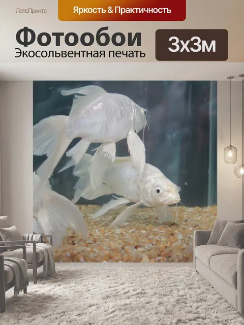 Фотообои Рыбы