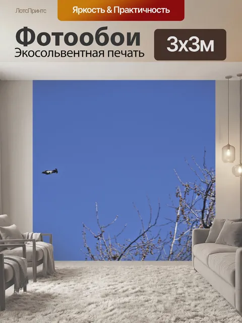 Фотообои Птица, как ракета