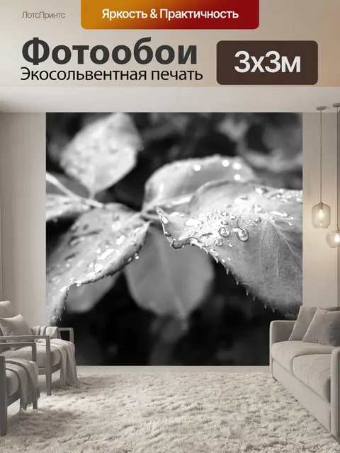 Фотообои Листья