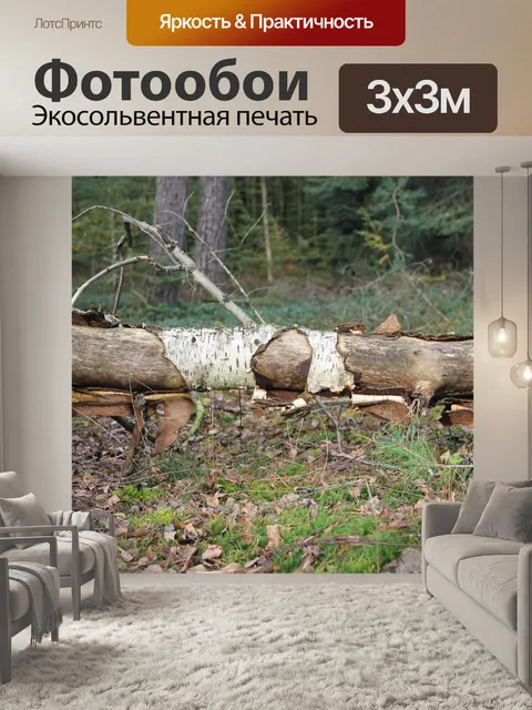 Фотообои Лес