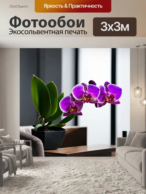 Фотообои орхидея в стильном интерьере, окруженная элементами минимализма