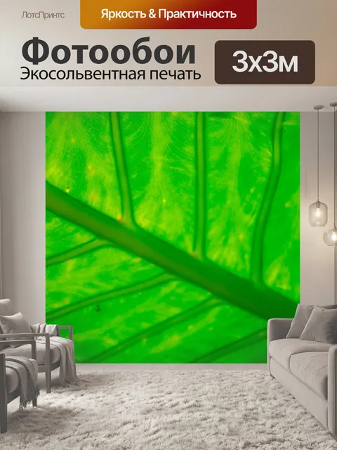 Фотообои Сад