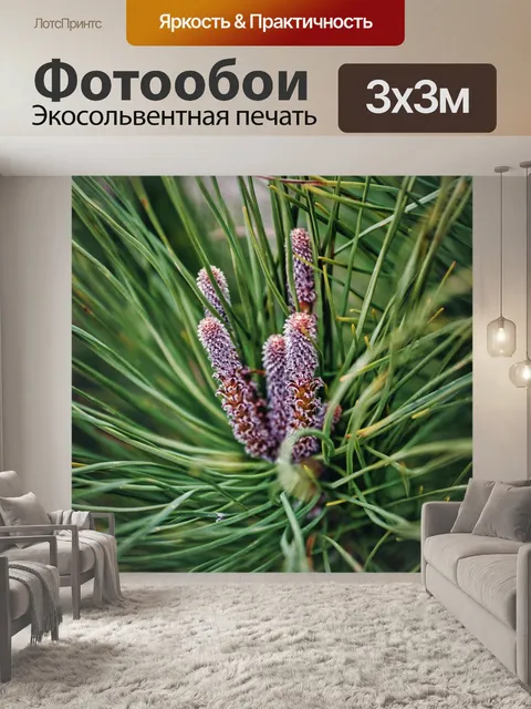 Фотообои Цветы