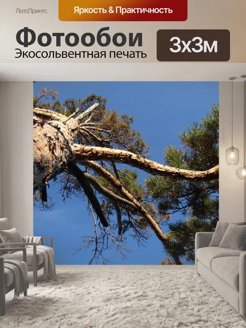 Фотообои Природа