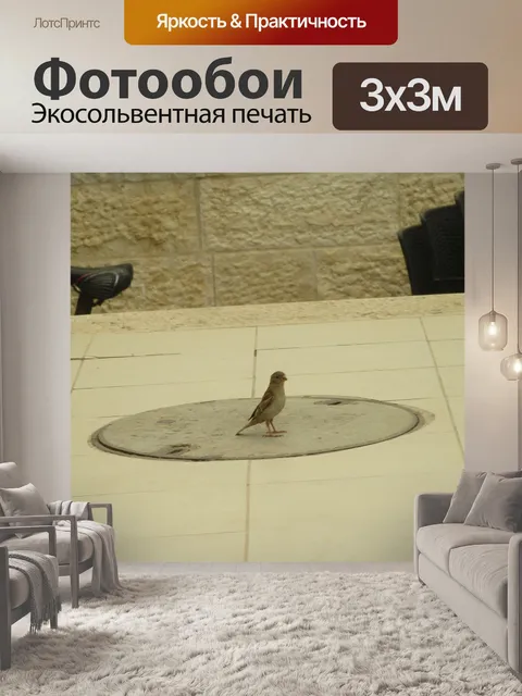 Фотообои Птица