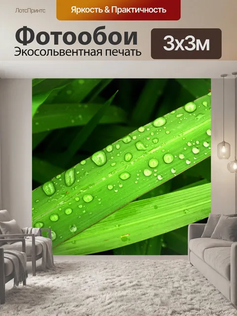 Фотообои Капля воды на листе