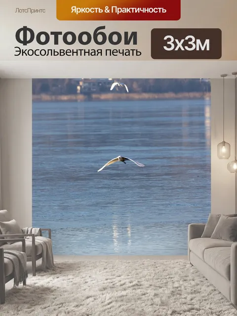 Фотообои Лед