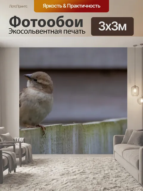 Фотообои Воробей