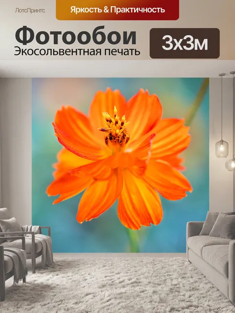 Фотообои Цветок