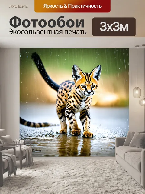 Фотообои сервал, играющий в лужах после дождя, с каплями воды, сверкающими на его меху