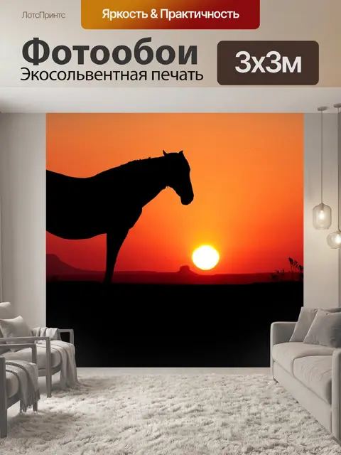 Фотообои Заход солнца