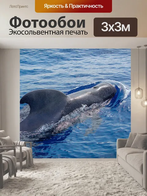 Фотообои Океан