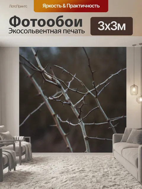 Фотообои Шипы