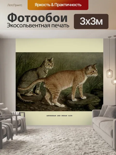 Фотообои Кот винтажная живопись