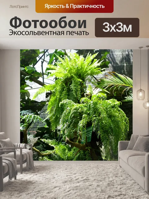 Фотообои Зеленые листья растения папоротника
