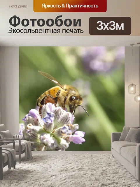 Фотообои Пчела