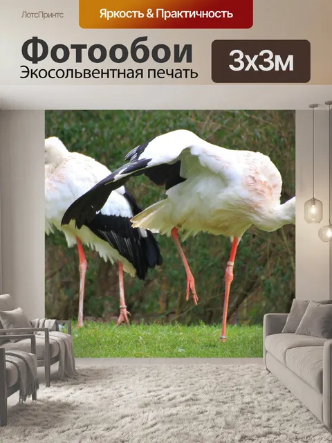 Фотообои Аисты