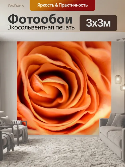 Фотообои Роза