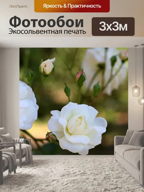 Фотообои Розы