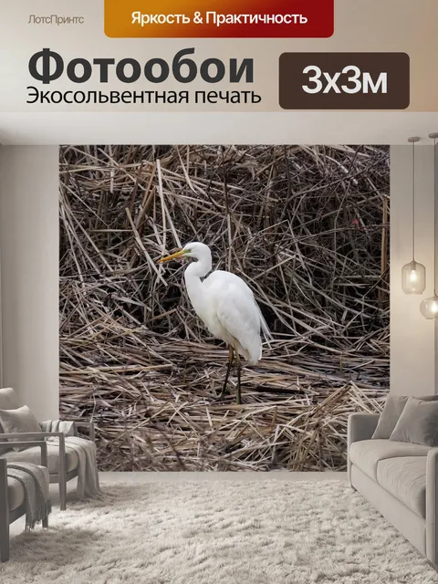 Фотообои Животное