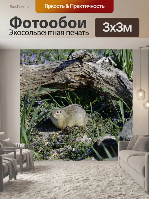 Фотообои Европейский